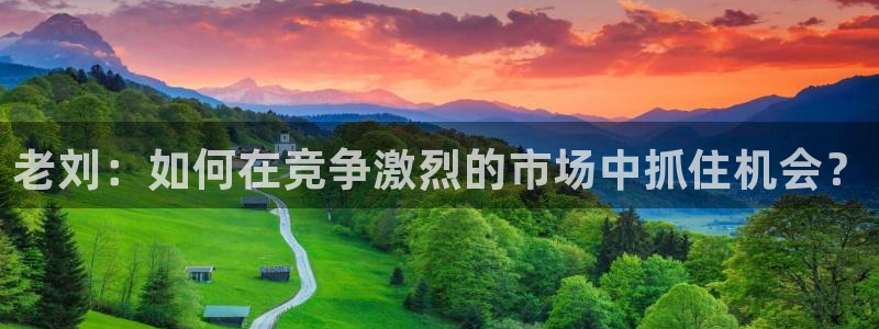 辉达娱乐4招商：老刘：如何在竞争激烈的市场中抓住机会？