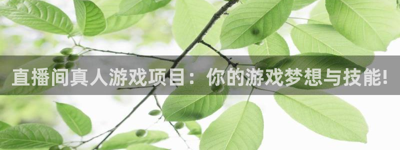 辉达娱乐网页登录入口官网：直播间真人游戏项目：你的游戏梦想与