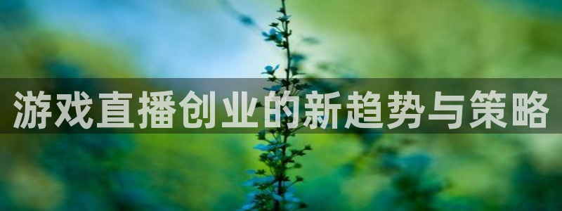 辉达娱乐平台登录线路：游戏直播创业的新趋势与策略