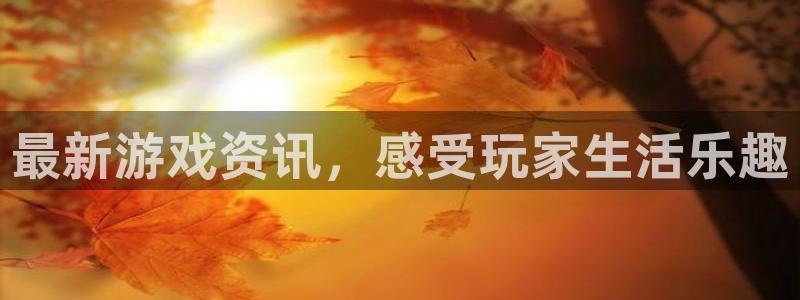 辉达娱乐网页登录入口：最新游戏资讯，感受玩家生活乐趣
